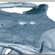 CT scan showing where the pineal and parapineal organs were located on the lizard’s skull.